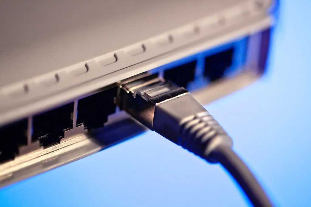 Switch portuna takılı network kablosu